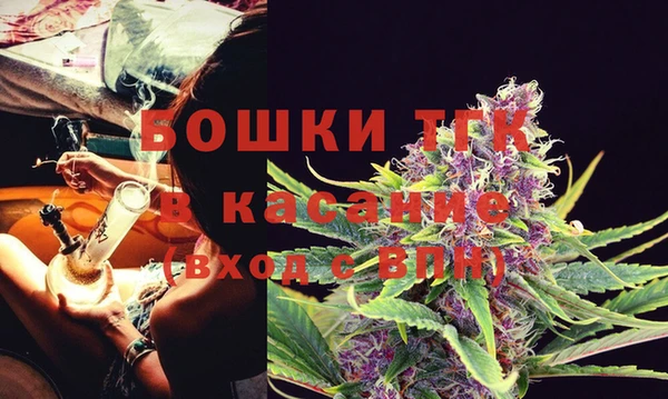 бошки Алексин