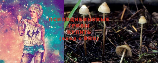 бошки Алексин