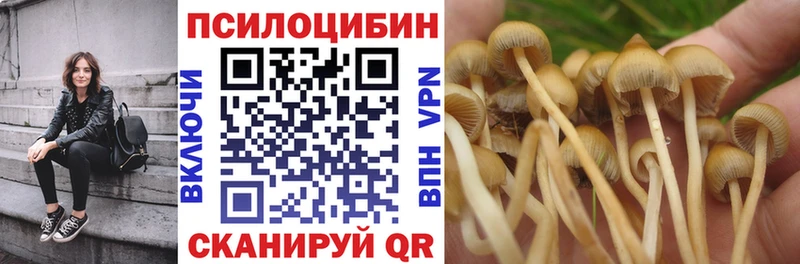 как найти закладки  Электрогорск  Псилоцибиновые грибы прущие грибы 