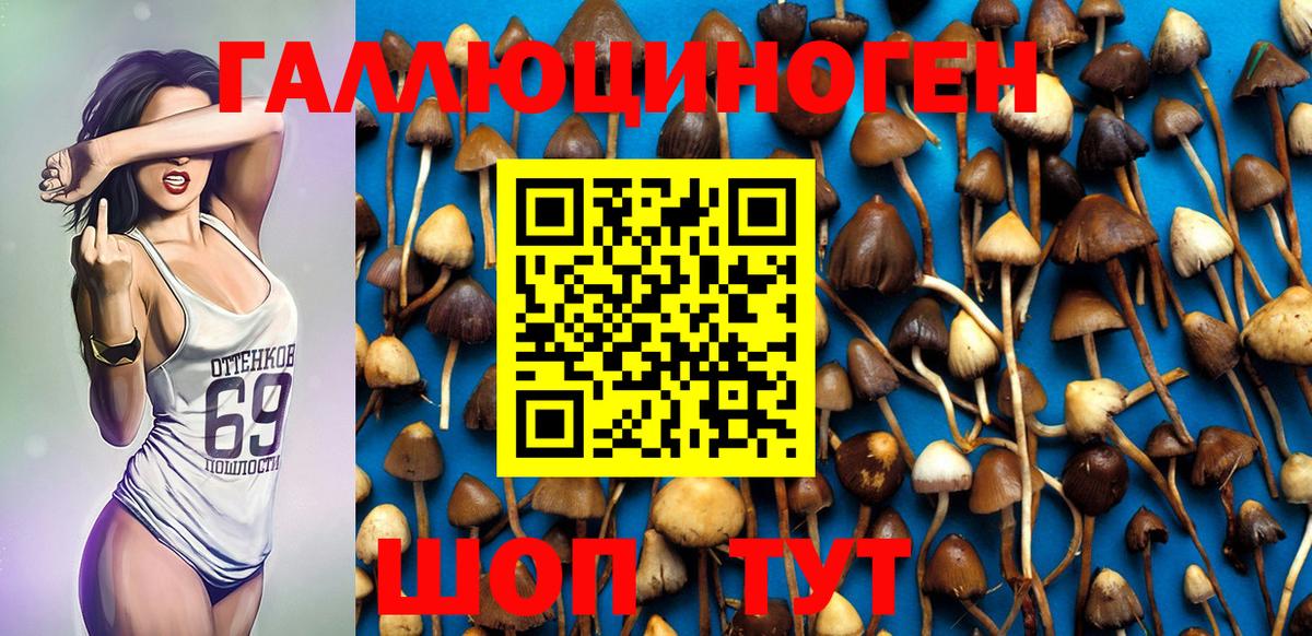 Псилоцибиновые грибы Psilocybe  Псилоцибиновые грибы Cubensis  Вход с VPN  Электрогорск 